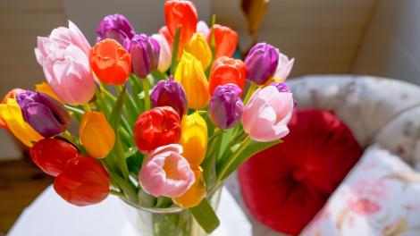 Secretul pentru ca florile să rămână proaspete și frumoase mai mult timp. Ce trebuie să faci pentru a le avea cât mai mult