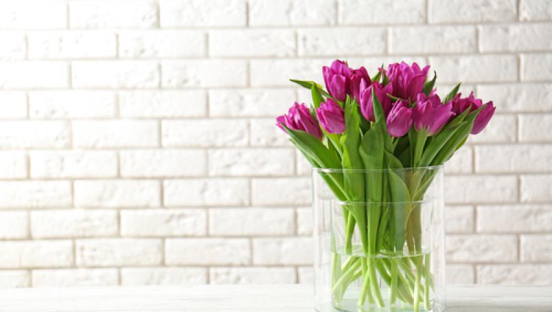 Secretul pentru ca florile să rămână proaspete și frumoase mai mult timp. Ce trebuie să faci pentru a le avea cât mai mult