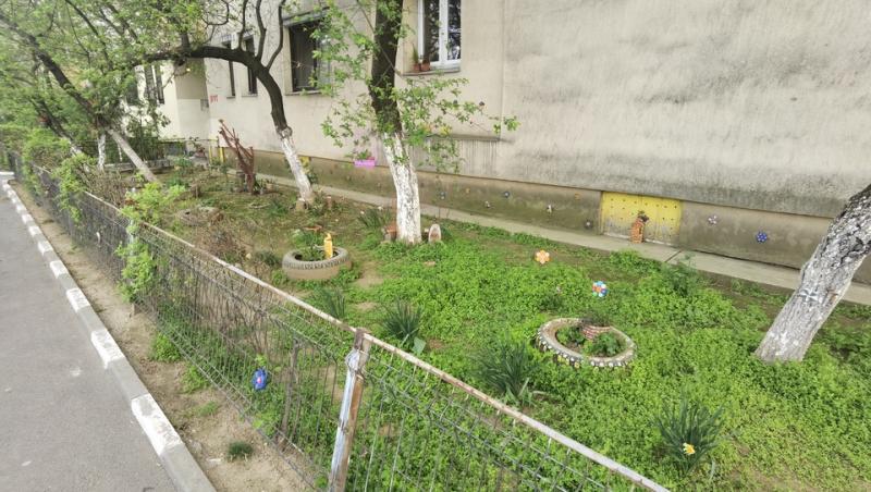 Ce a putut să facă un român în grădina lui de bloc. Trecătorii s-au apropiat să se uite mai bine. Ce au descoperit