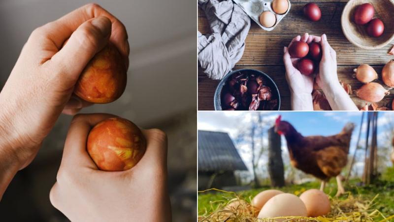 Ouăle fierte pot fi un pericol pentru sănătate