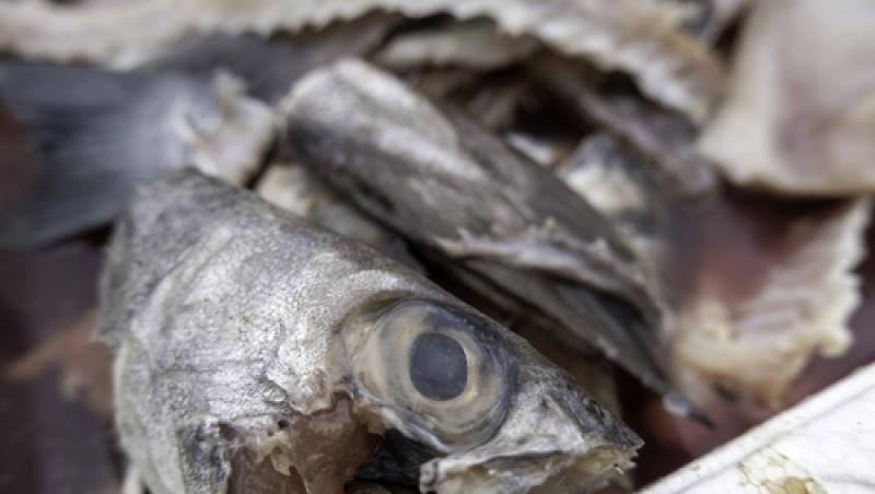 ANPC a retras de la vânzare peste o tonă de pește! Pescăriile îi expun pe cetățeni la un risc ridicat de deces