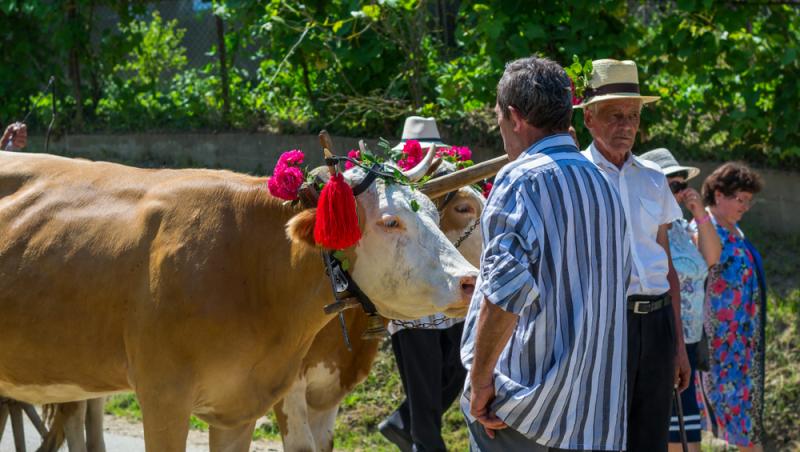 Nouă minivacanță pentru români. Când se pot bucura de câteva zile cu familia și ce sărbătoare importantă este atunci