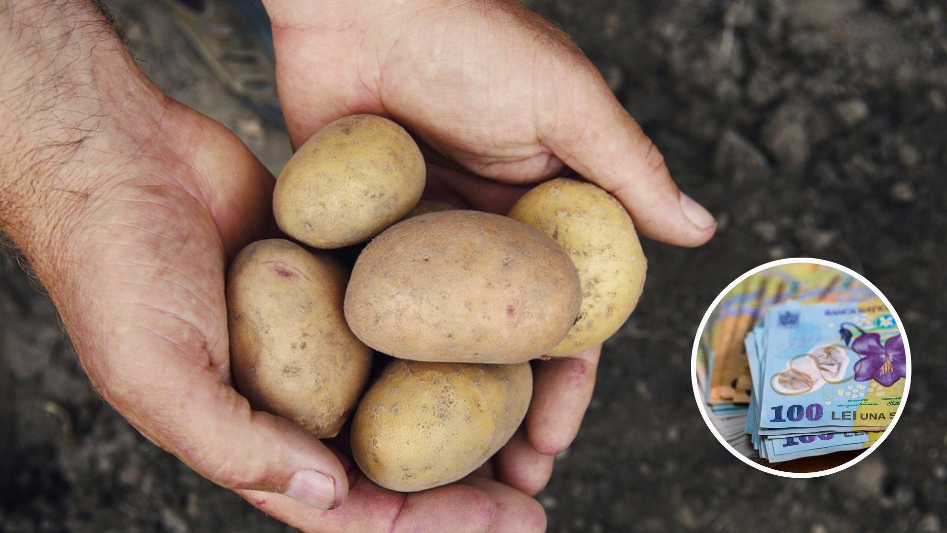 Cartofii noi au fost scoși la vânzare pe tarabele din România. Cât a ajuns să coste un singur kilogram