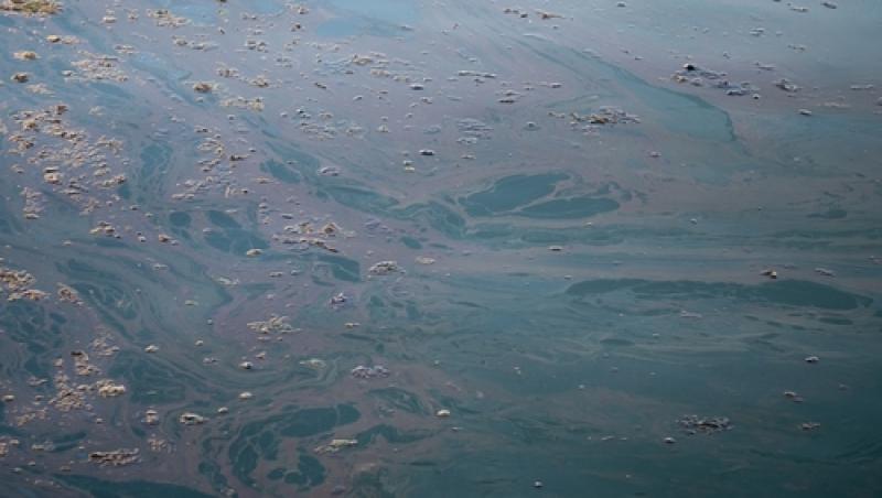Substanțe periculoase identificate în apa mării. Norma adecvată este depășită de 60 de ori!