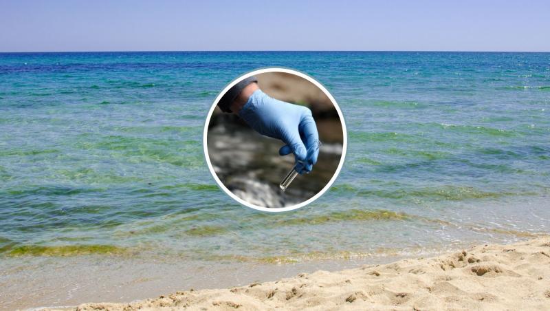 Substanțe periculoase identificate în apa mării.