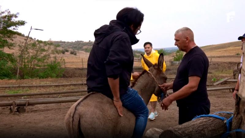 Poftiți pe la noi: Poftiți în Dobrogea! Sezon 10, 28 mai 2024. Rikito, incident dureros la fermă: „A căzut ca un sac de cartofi”