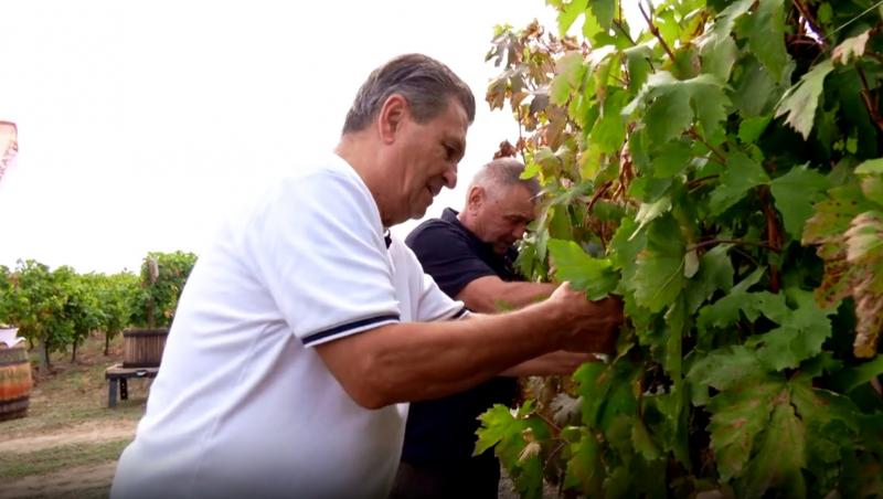 Poftiți pe la noi: Poftiți în Dobrogea! Sezon 10, 28 mai 2024. Ce au făcut Rikito și Sonny în vie. Nea Marin a scos nuiaua