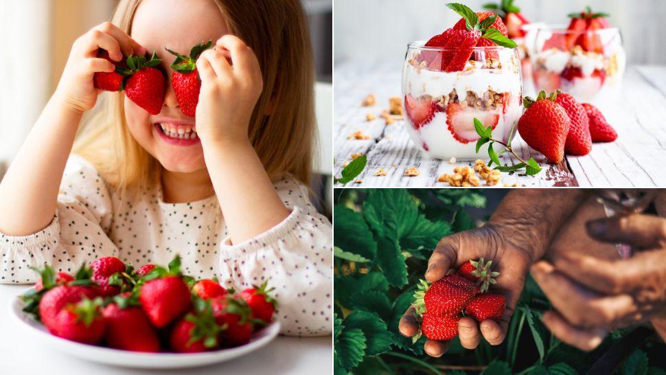 Rețete de deserturi cu căpșuni ideale pentru vară. Moduri diverse în care să le consumi pe caniculă