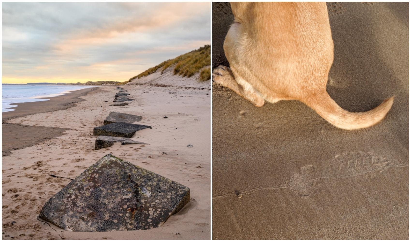 colaj foto cu plaja din Northumberland si coada unui caine care sta pe nisip