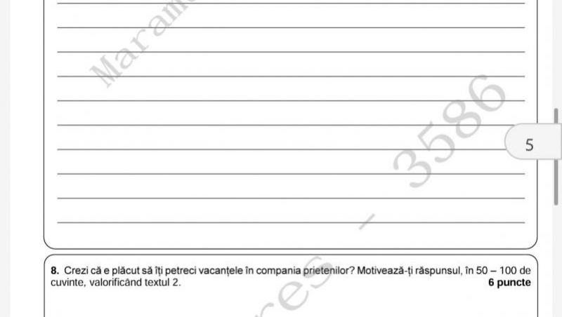 Subiecte și barem la Evaluarea Națională 2024, la Limba și Literatura Română. Ce au avut de făcut elevii la examen