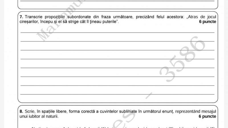 Subiecte și barem la Evaluarea Națională 2024, la Limba și Literatura Română. Ce au avut de făcut elevii la examen