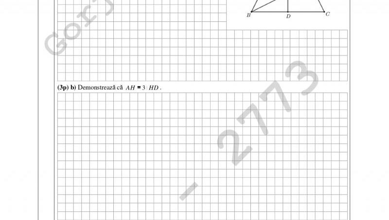 Subiecte și barem la Evaluarea Națională 2024, proba la matematică. Ce subiecte au avut de rezolvat absolvenţii clasei a VIII-a