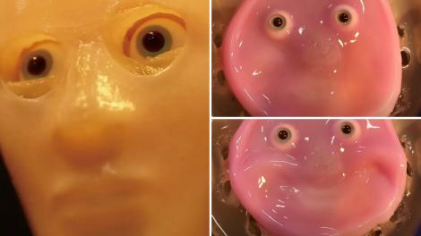 Cea mai bizară invenție! Cum arată robotul cu fața făcută din piele de om. Imaginile recente i-au cutremurat pe internauți