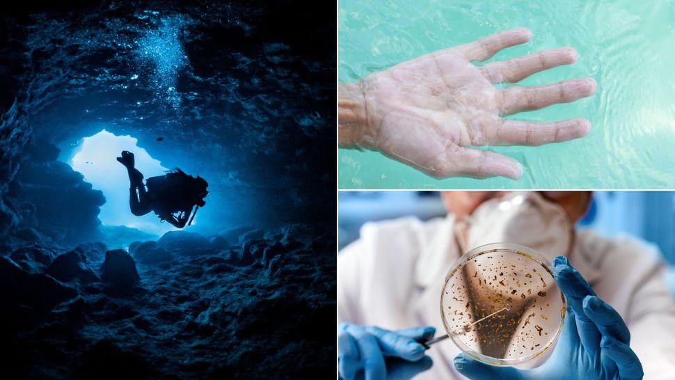 Un bărbat a trăit aproape 100 de zile sub apă. Ce a descoperit în urma experimentului