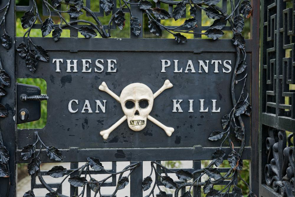 Unde se află „Grădina Otrăvitoare”, cea mai periculoasă din lume. Mirosul plantelor poate ucide pe oricine. Cât costă să o vezi