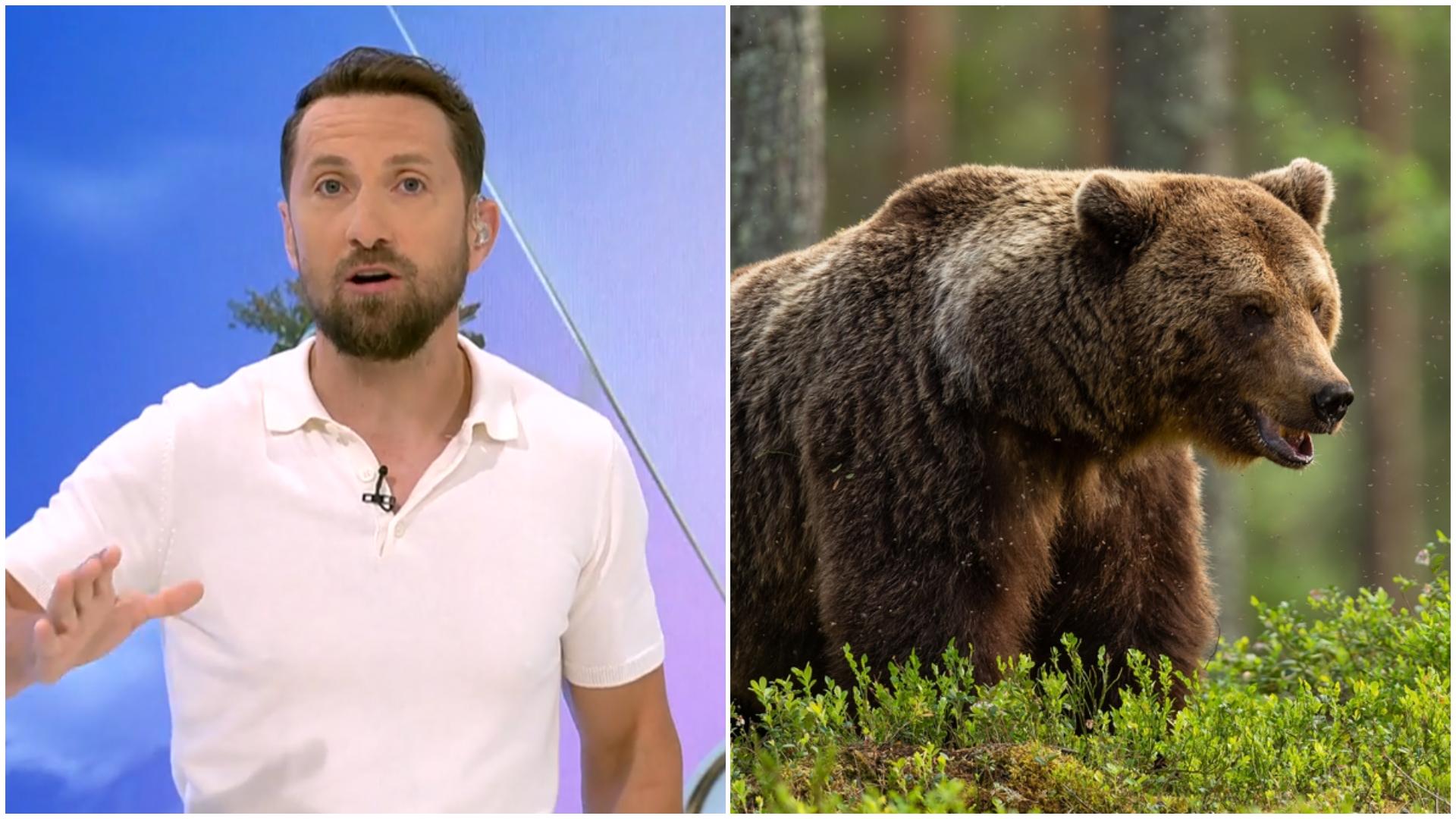 Dani Oțil, atins de urs în pădure: „Consider că eu am greșit”. Ce a declarat matinalul despre experiența periculoasă