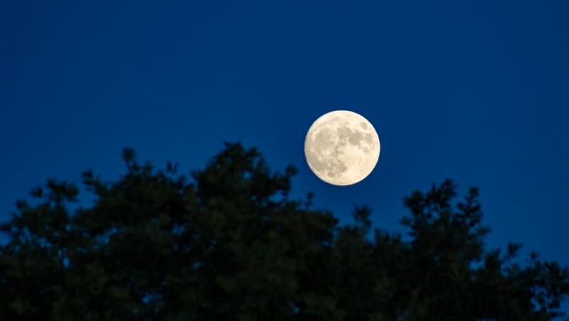 Când va putea fi văzută Luna Sturion. Super Luna Albastră, cea mai strălucitoare Lună plină, va lumina cerul