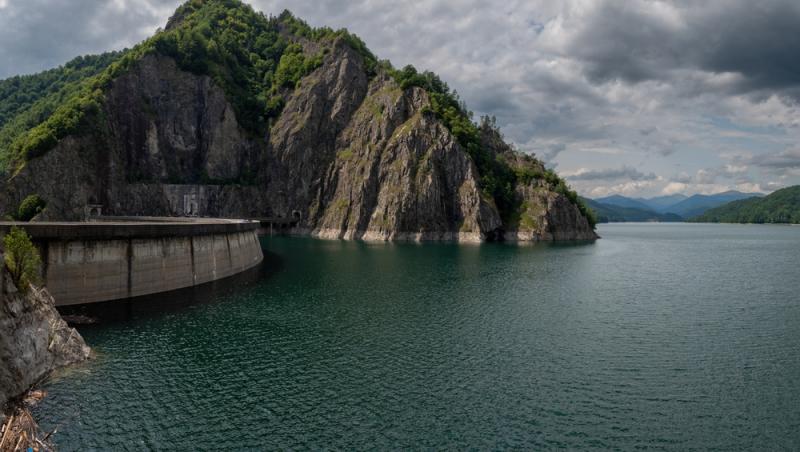 „Safari cu urși lângă Cetatea Poenari” Cât costă experiența promovată de agențiile de turism. Străinii se înghesuie să participe