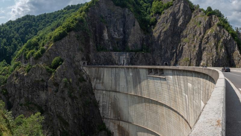 „Safari cu urși lângă Cetatea Poenari” Cât costă experiența promovată de agențiile de turism. Străinii se înghesuie să participe