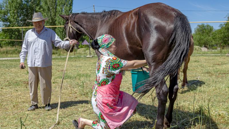 Lapte de cal în deserturi populare. Cât de sănătos este