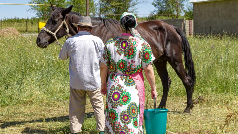 Lapte de cal în deserturi populare. Cât de sănătos este