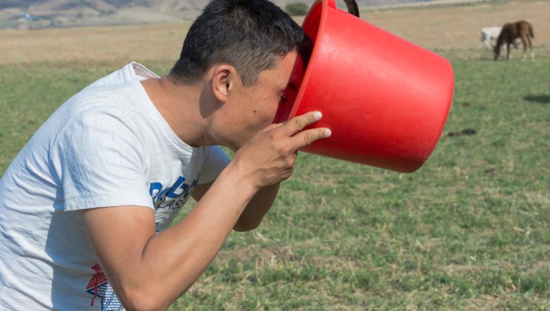 Lapte de cal în deserturi populare. Cât de sănătos este