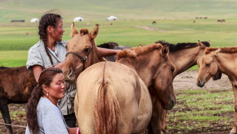 Lapte de cal în deserturi populare. Cât de sănătos este