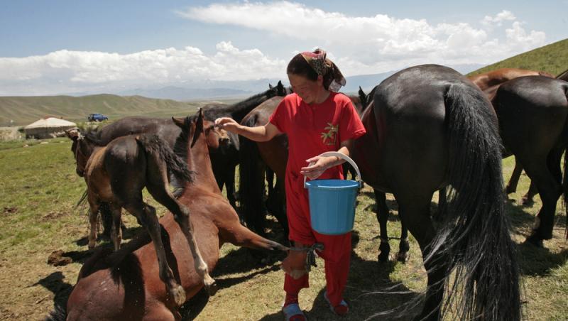 Lapte de cal în deserturi populare. Cât de sănătos este