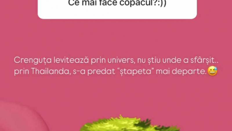 Insula Iubirii, sezon 8. Ce s-a întâmplat cu creanga găsită de Diandra și Andrei în Thailanda: „Ce mai face copacul?”