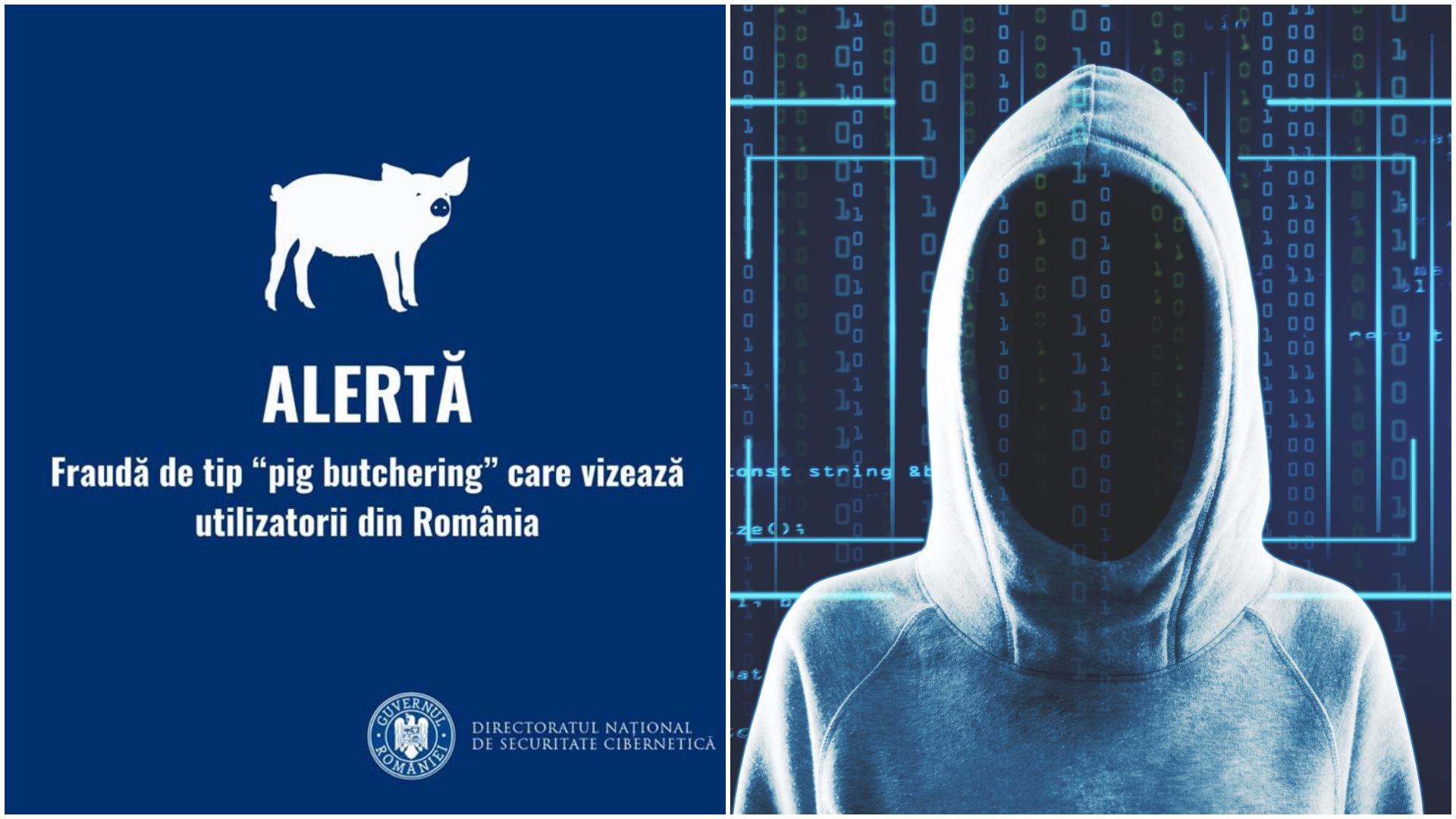 Colaj advertisment cu privire la „Pig butchering” și un hacker pe fundal albastru