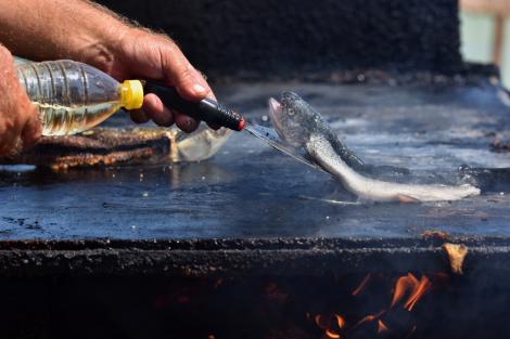 Un turist a comandat pește la o terasă din Vama Veche, însă ce a primit l-a uluit. A povestit întreaga experiență gastronomică