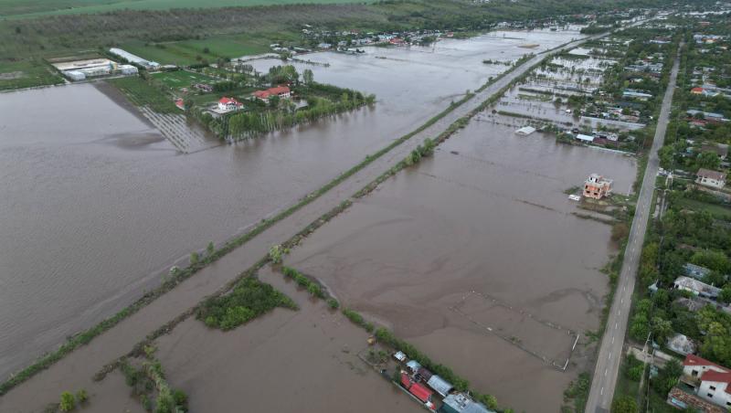 Povestea lui Piki, câinele erou care și-a salvat stăpânul din inundațiile de la Galați. L-a trezit când apa era deja până la brâu