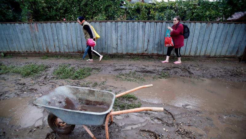 Povestea lui Piki, câinele erou care și-a salvat stăpânul din inundațiile de la Galați. L-a trezit când apa era deja până la brâu