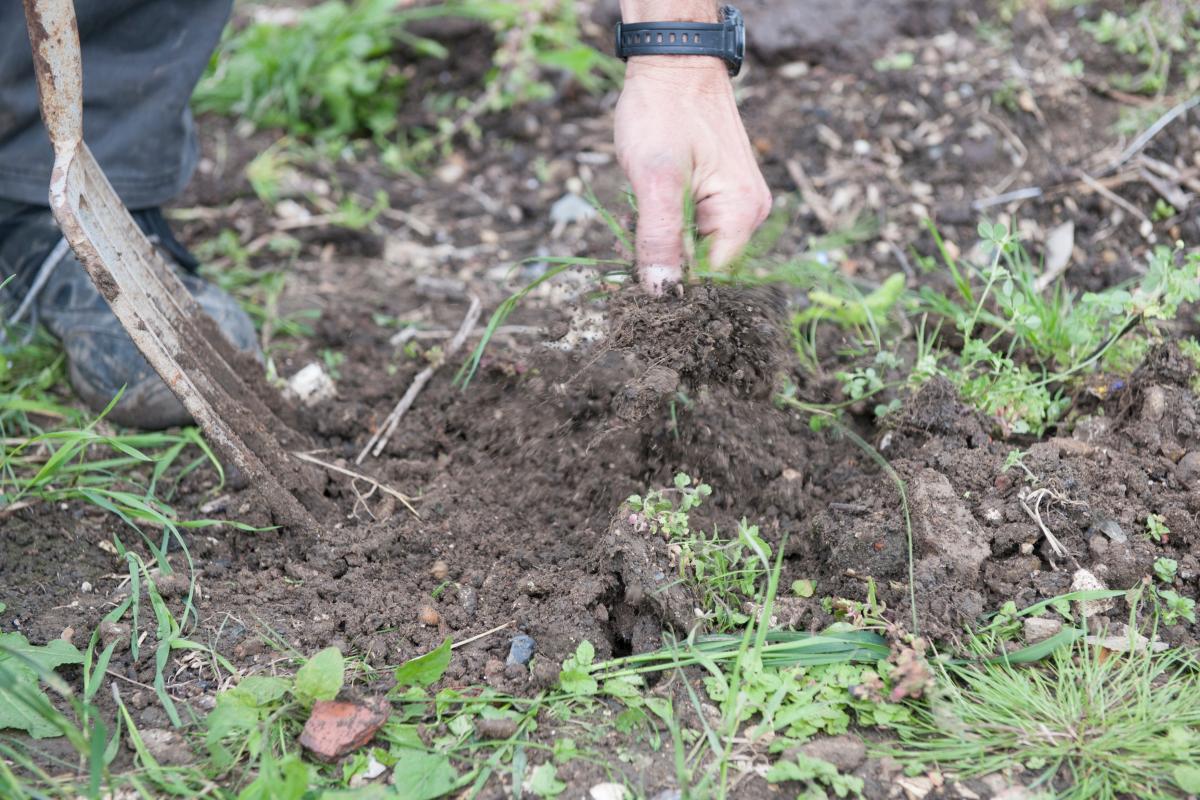 imagine cu mana unui barbat care sapa in pamantul din gradina