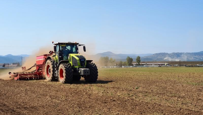 România este lider în UE la exportul de grâu. Cererea vine și de la țări care până acum nu cumpărau de la noi