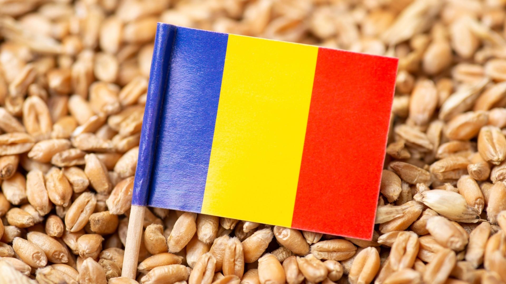 Steagul României pozat în boabe de grâu