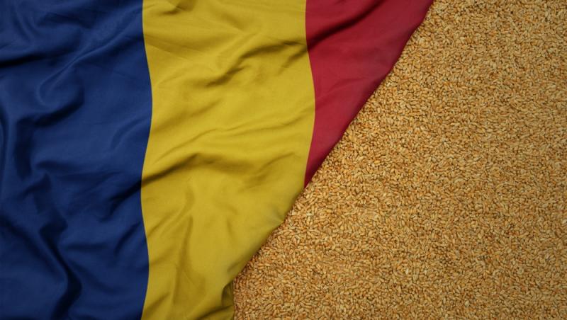 România este lider în UE la exportul de grâu. Cererea vine și de la țări care până acum nu cumpărau de la noi