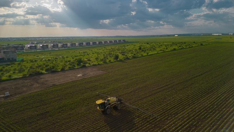 România este lider în UE la exportul de grâu. Cererea vine și de la țări care până acum nu cumpărau de la noi