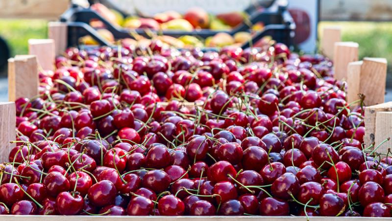 Cireșele de ianuarie costă o adevărată avere. Cu cât a ajuns să se vândă un singur kilogram în piețele din România
