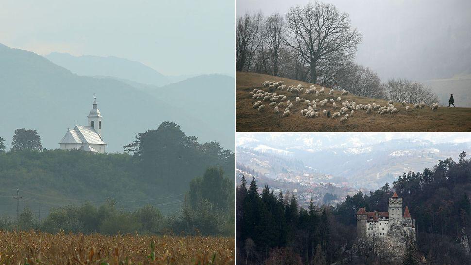 colaj biserică înconjurată de natură, oi pe câmp și castelul bran din depărtare