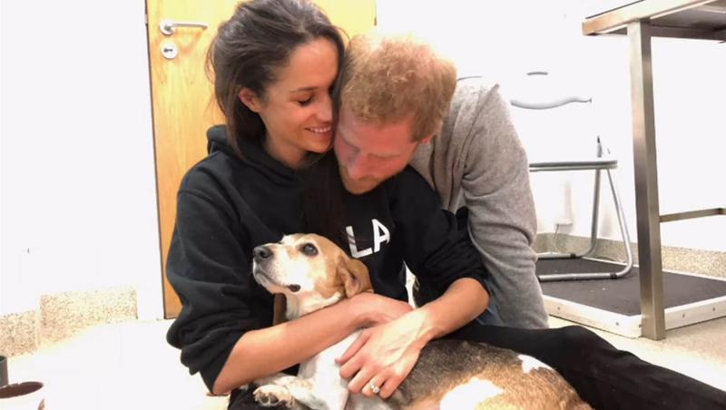 Adevăratul motiv pentru care Prințul Harry va călători singur în Marea Britanie. De ce nu își poate lua copiii cu el