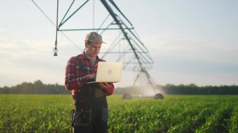 Cât costă în 2025 un hectar de teren agricol. Unde este cel mai scump de cumpărat