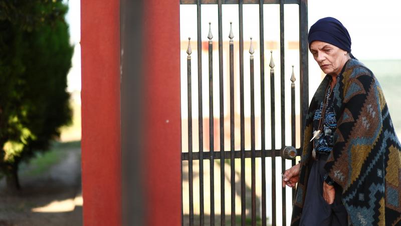 Iubire cu parfum de lavandă sezon 2, rezumat episoade 7, 8 și 9, 24 ianuarie 2025. Albert și Ștefan ajung la spital. Ce află Dinu