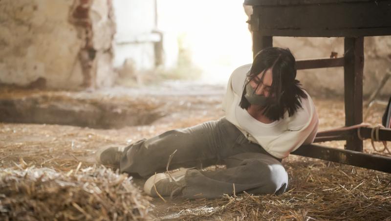 Iubire cu parfum de lavandă sezon 2, rezumat episoade 7, 8 și 9, 24 ianuarie 2025. Albert și Ștefan ajung la spital. Ce află Dinu