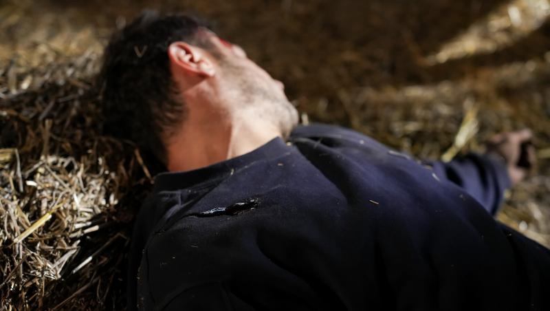 Iubire cu parfum de lavandă sezon 2, rezumat episoade 7, 8 și 9, 24 ianuarie 2025. Albert și Ștefan ajung la spital. Ce află Dinu