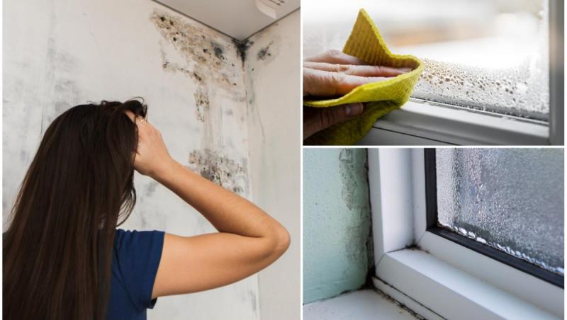 colaj foto cu femeie care priveste un perete cu mucegai si imagini cu condens pe geamuri