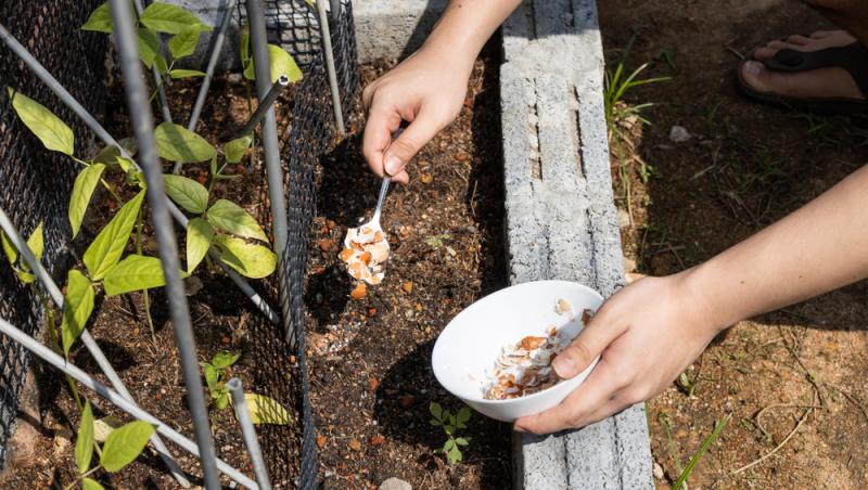 Trucul grădinarilor de top. Ingredientul-minune se regăsește aproape în fiecare casă. Ce beneficii are