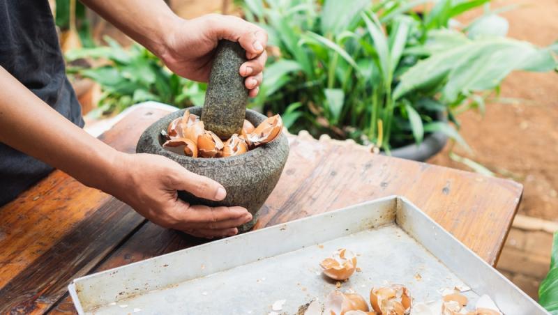 Trucul grădinarilor de top. Ingredientul-minune se regăsește aproape în fiecare casă. Ce beneficii are