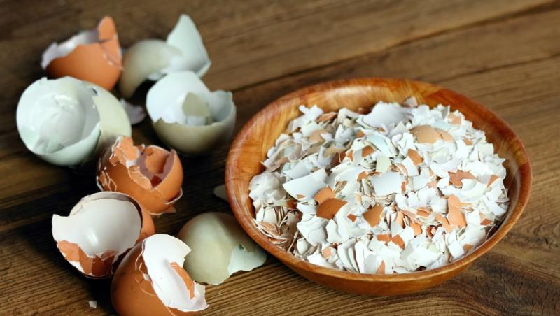 Trucul grădinarilor de top. Ingredientul-minune se regăsește aproape în fiecare casă. Ce beneficii are