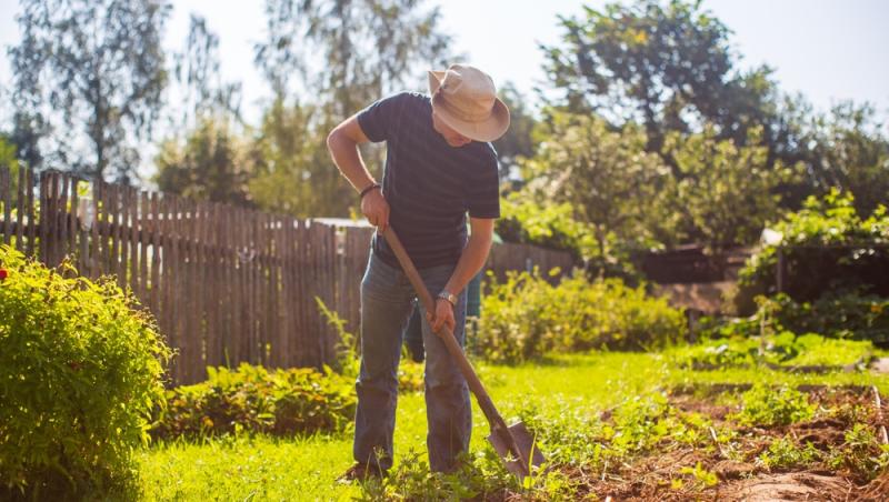 Trucul grădinarilor de top. Ingredientul-minune se regăsește aproape în fiecare casă. Ce beneficii are